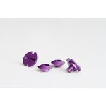 Zamp Visiirin ruuvisarja Violetti