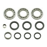 Bronco Differential Bearing & Seal Kit