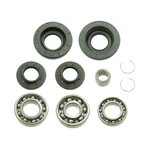 Bronco Differential Bearing & Seal Kit