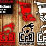Cheetah Factory Racing CFR XL Stickers 9"X8"