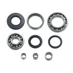 Bronco Differential Bearing & Seal Kit