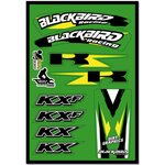 Blackbird Universal tarrasrj Kawasaki