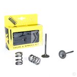 ProX Steel Exhaust Valve/Spring Kit RM-Z450 '05-06