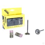 ProX Steel Intake Valve/Spring Kit CRF250R '04-07 + CRF250X