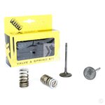 ProX Steel Intake Valve/Spring Kit RM-Z250 '07-15