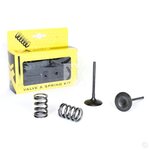 ProX Steel Intake Valve/Spring Kit RM-Z450 '05-06