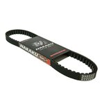 Naraku Std Belt, 724 x 17,5 , Peugeot Kisbee 4-S