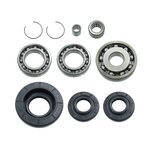 Bronco Differential Bearing & Seal Kit