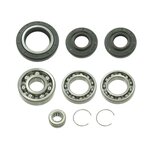 Bronco Differential Bearing & Seal Kit