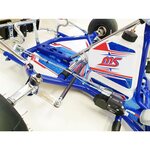 MS Kart Blue Phoenix Rotax 125 Junior Max EVO