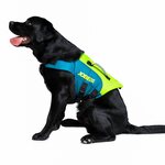 Jobe Pet koiran kelluntaliivi lime / teal