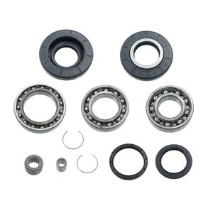 Bronco Differential Bearing & Seal Kit