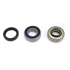 Sno-X Chain case bearing kit Ski-Doo