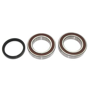 Sno-X Chain case bearing kit Ski-Doo