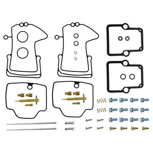 Sno-X Carburetor repair kit Ski-Doo