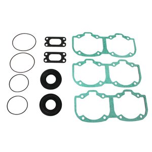 Sno-X FULL SET W/Oil sealS