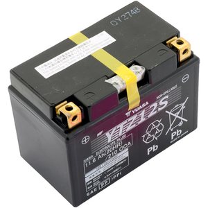 Yuasa Battery, YTZ12S (wc)