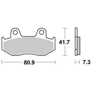 SBS Jarrupalat Carbon Tech