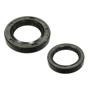Sno-X Oil sealset