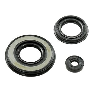 Sno-X Oil sealset