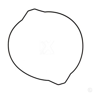 ProX Clutch Cover Gasket YZ250 '99-16