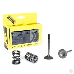 ProX Steel Exhaust Valve/Spring Kit KX450F '06-08 + KFX450R