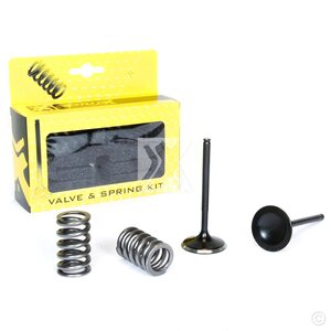 ProX Steel Intake Valve/Spring Kit CRF450X '05-15