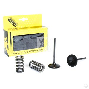 ProX Steel Intake Valve/Spring Kit YZ450F '10-13