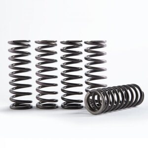 Hinson Hi Temp Kytkinjousi srj. (5kpl) KX450F 06-14