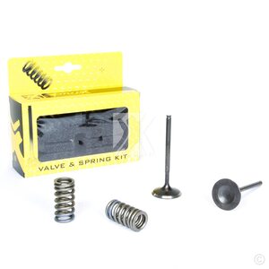 ProX Steel Intake Valve/Spring Kit CRF250R '08-09