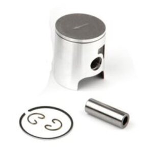 Airsal Piston kit (301-1038)