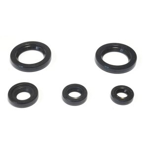 Athena Öljytiivistesarja, KTM Duke 125 11-/Duke 200 12-/RC 200 15-