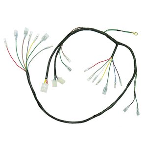 Tec-X Wire harness, Honda Z50 87-