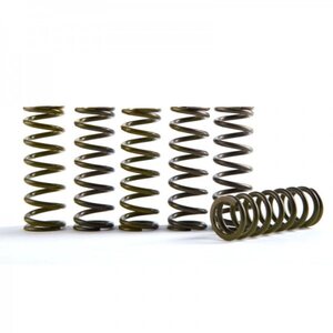 Hinson Clutch Springs CRF450R (7/8PLATE) 17-, CRF450RX