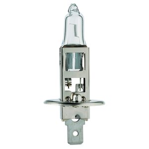 Flösser R H1 12V 55W P14,5s