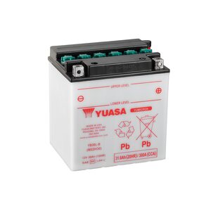 Yuasa Battery, YB30L-B (dc)