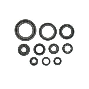 Holeshot Engine Seal Kit, Honda 03 CR125R