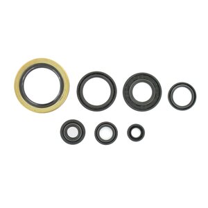 Holeshot Engine Seal Kit, Suzuki 89-93 RM250