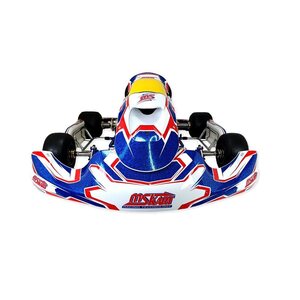 MS Kart Blue Phoenix Rotax 125 Junior Max EVO