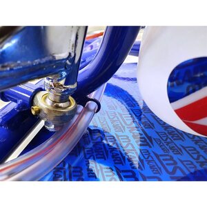 MS Kart Blue Phoenix Rotax 125 Junior Max EVO