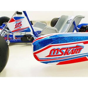 MS Kart Blue Phoenix Rotax 125 Junior Max EVO