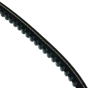 Linhai BELT