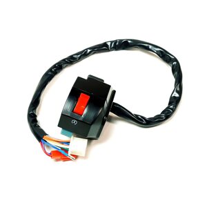 Linhai SWITCH ASSY (05 MODEL 50TH MODEL)