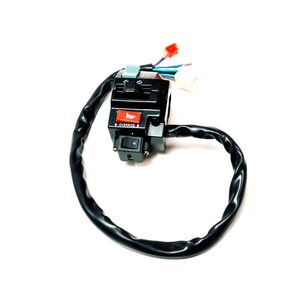 Linhai SWITCH ASSY (05 MODEL 50TH MODEL)