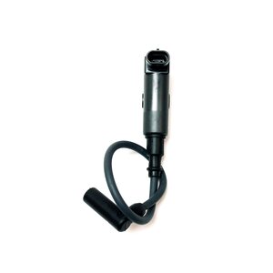 Linhai IGNITON COIL AND WIRE