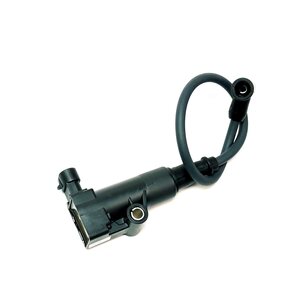 Linhai IGNITON COIL AND WIRE