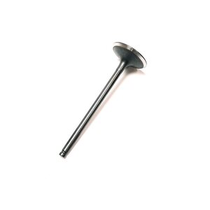Linhai INTAKE VALVE