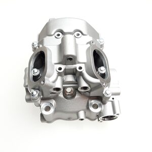 Linhai CYLINDER HEAD AND CYLINDER  HEAD COVER ASSEMBLY