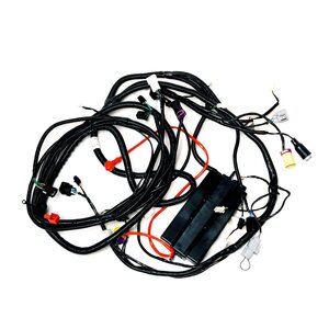 Linhai WIRING HARNESS(FOR EUROPE)
