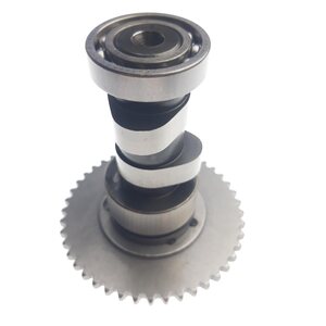 Linhai camshaft group
